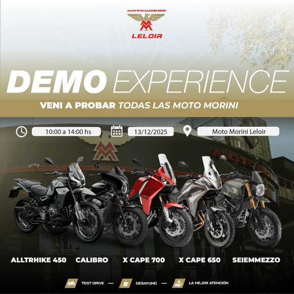 Demo Exp 13.12 Newsletter