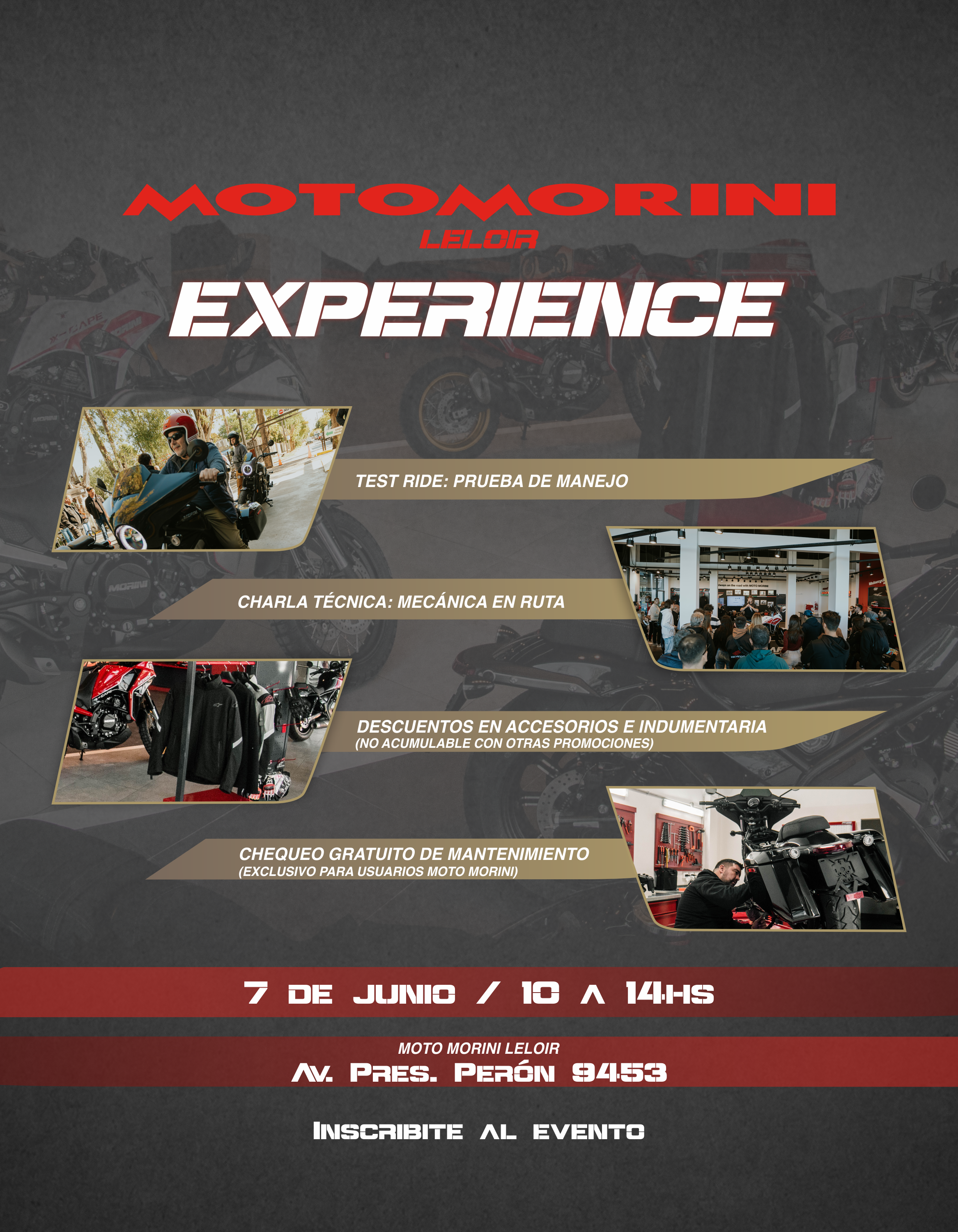 mm experience newsletter